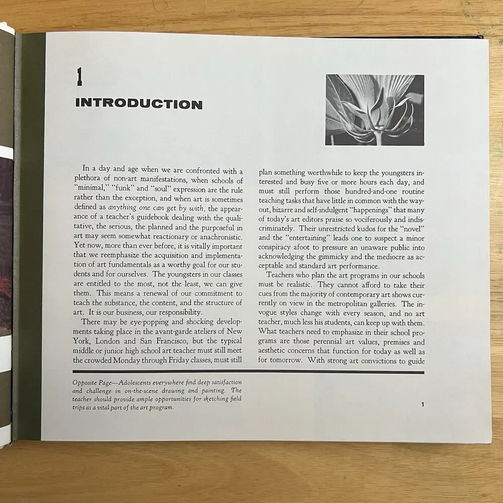Art in Depth A Qualitative Program for the Young Adolescent Hardcover Education